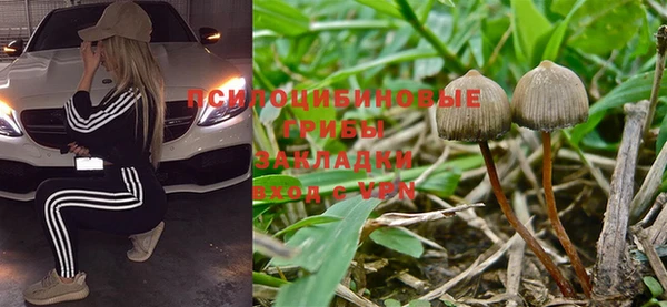 a pvp Алзамай