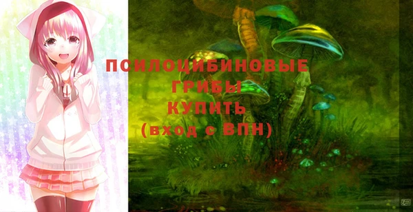 мдпв Магадан