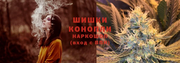 молекула духа Майский